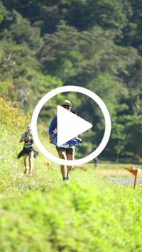 BIB:  <button type="button" onclick="openModal(26578716)" class="btn btn-primary btn-sm float-right" data-toggle="modal" data-target=".modal-high-quality">
                <i class="fa fa-download"></i> Download
                </button>